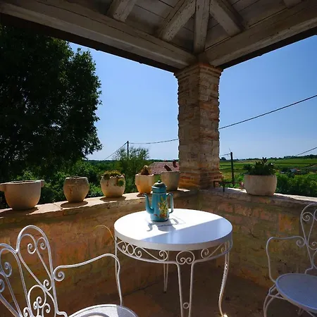 Mekisi Villa Vižinada
