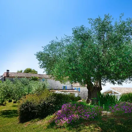 Mekisi Villa *