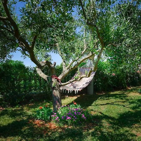 Mekisi Villa
